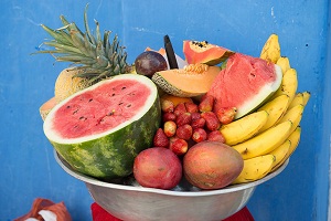 Nutrició i Alimentació